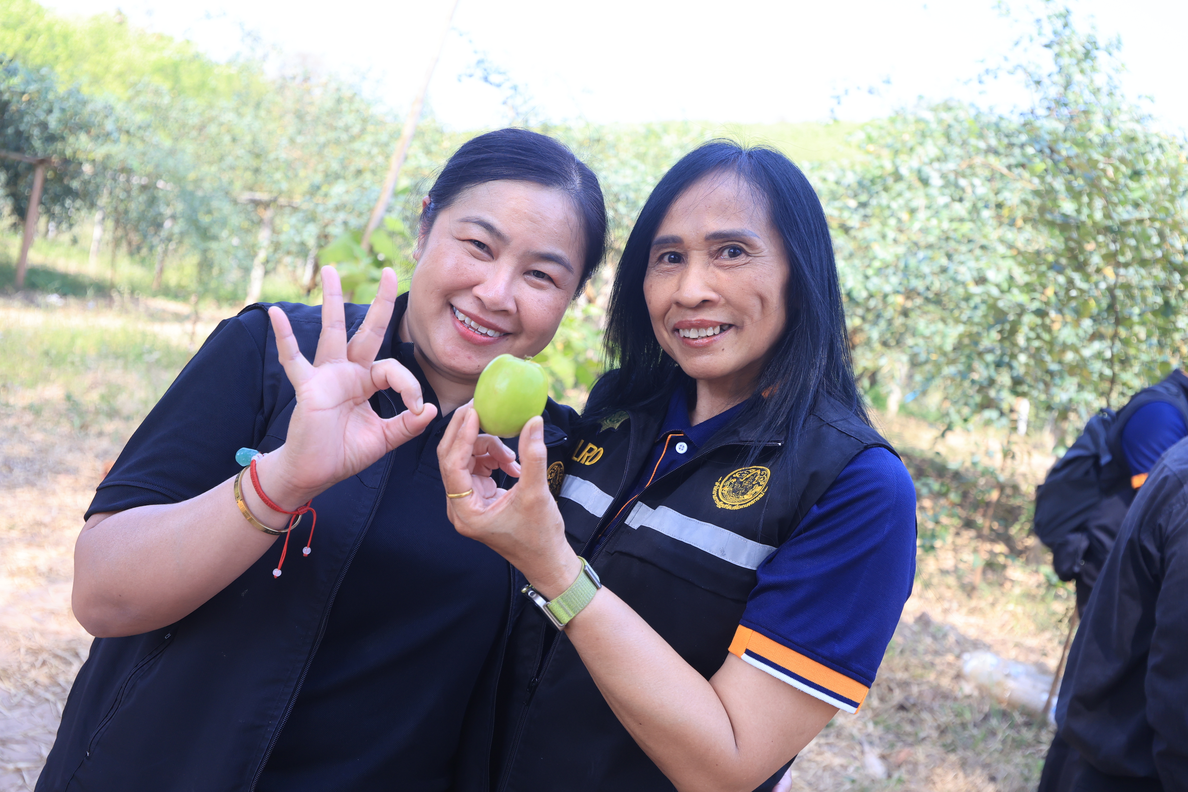 title - เลขาธิการ ส.ป.ก. และคณะ ตรวจเยี่ยมกลุ่มปลูกพุทรา บ้านท่าดีหมี หมู่ที่ 4 ต.ปากตม อ.เชียงคาน จ.เลย